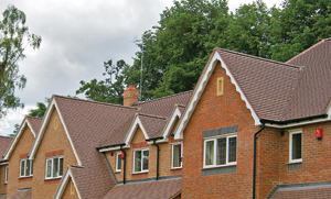 Roofing and Ventilation