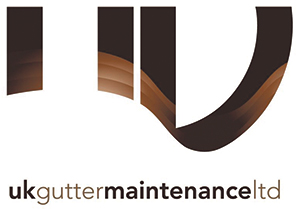 ukguttermaintenance_929_06