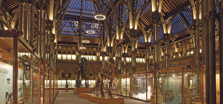 Light at the museum