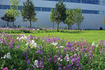 A hub of colour, beauty and nature